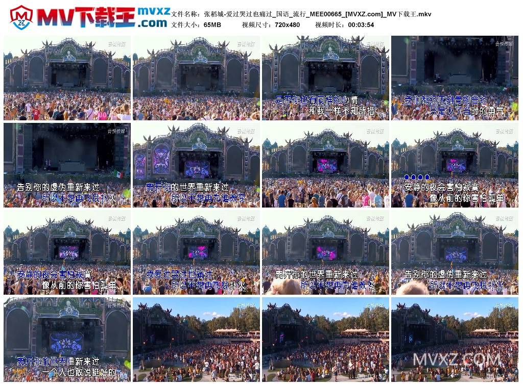 张稻城-爱过哭过也痛过_国语_流行_MEE00665